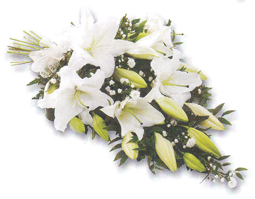 floral-22